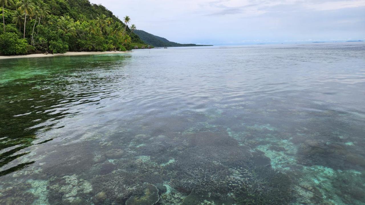 Terimakasih Homestay Pulau Mansuar Экстерьер фото