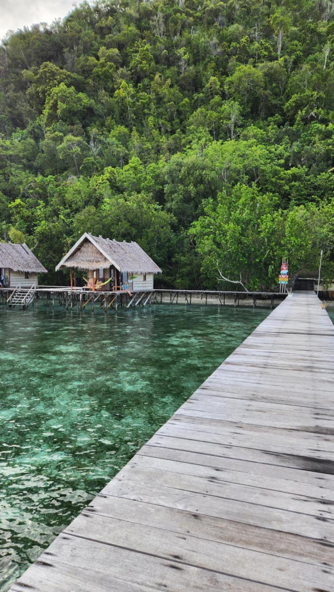 Terimakasih Homestay Pulau Mansuar Экстерьер фото