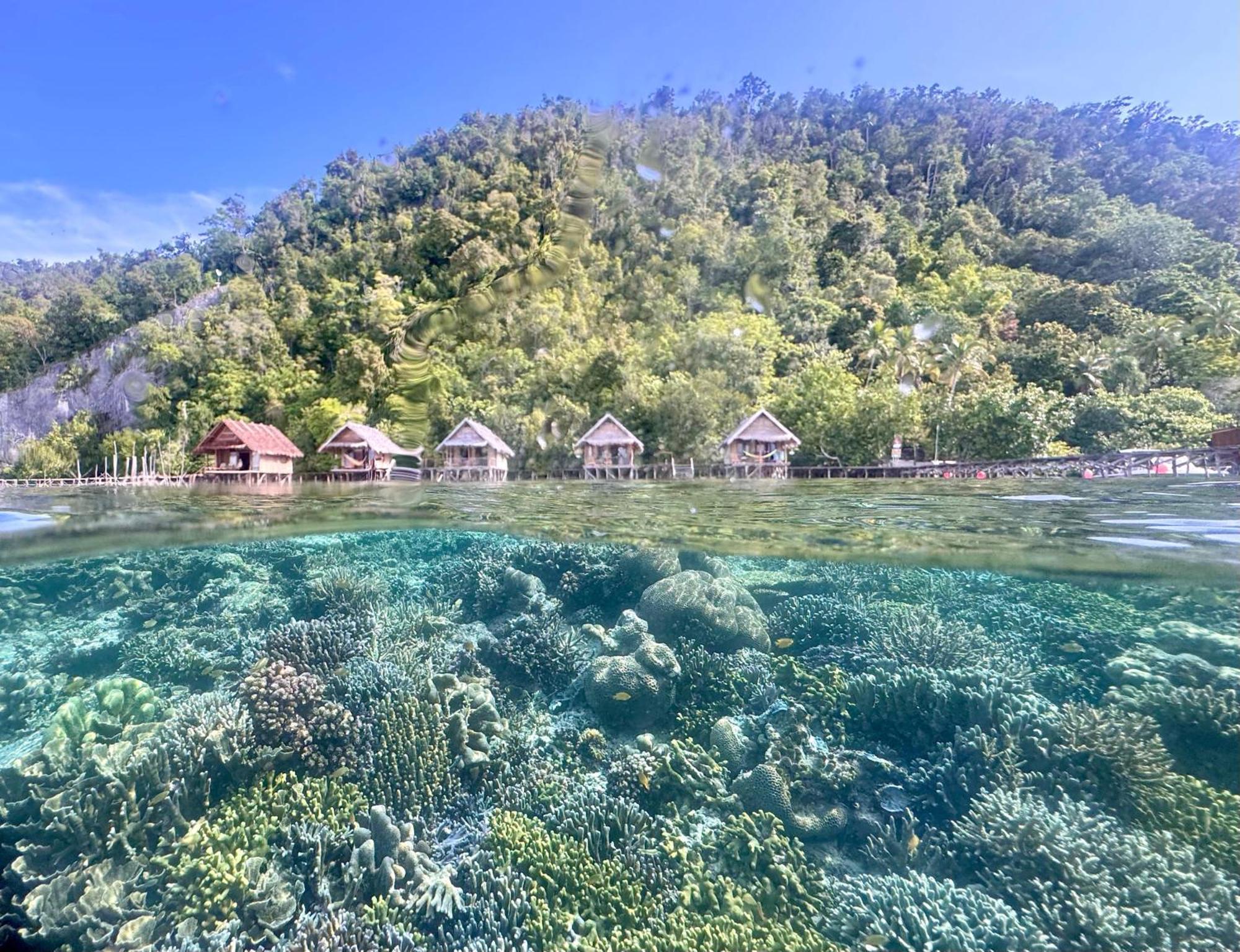 Terimakasih Homestay Pulau Mansuar Экстерьер фото